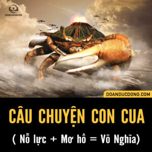 CÂU CHUYỆN CON CUA ( Nỗ lực + mơ hồ = Vô Nghĩa)
