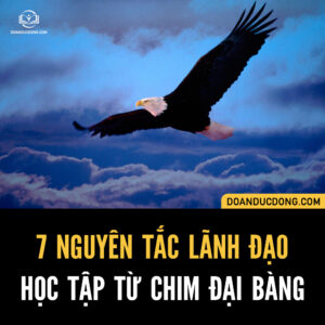 7 NGUYÊN TẮC LÃNH ĐẠO TRONG CUỘC SỐNG HỌC TẬP ĐƯỢC TỪ ĐẠI BÀNG