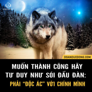 MUỐN THÀNH CÔNG HÃY TƯ DUY NHƯ SÓI ĐẦU ĐÀN: PHẢI “ĐỘC ÁC” VỚI CHÍNH MÌNH