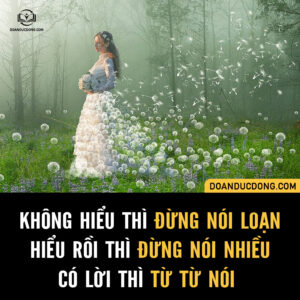 KHÔNG HIỂU THÌ ĐỪNG NÓI LOẠN, HIỂU RỒI THÌ ĐỪNG NÓI NHIỀU, CÓ LỜI THÌ TỪ TỪ NÓI
