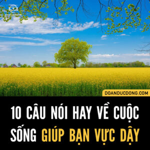 10 CÂU NÓI HAY VỀ CUỘC SỐNG GIÚP BẠN VỰC DẬY