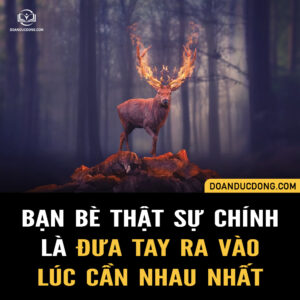 BẠN BÈ THỰC SỰ CHÍNH LÀ ĐƯA TAY RA VÀO LÚC CẦN NHAU NHẤT