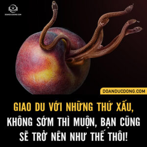 HÃY CHO TÔI BIẾT BẠN CỦA BẠN LÀ AI, TÔI SẼ KẾT LUẬN BẠN LÀ NGƯỜI NHƯ THẾ NÀO