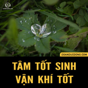 TÂM TỐT SINH VẬN KHÍ TỐT