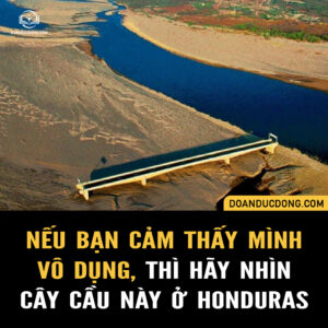 CÂY CẦU V.Ô D.Ụ.NG NHẤT THẾ GIỚI CŨNG CHỈ VÌ…QUÁ HOÀN HẢO!