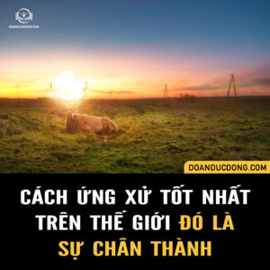 CÁCH ỨNG XỬ TỐT NHẤT TRÊN THẾ GIỚI ĐÓ LÀ SỰ CHÂN THÀNH