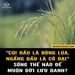 "CÚI ĐẦU LÀ BÔNG LÚA, NGẨNG ĐẦU LÀ CỎ DẠI". SỐNG THẾ NÀO ĐỂ MUÔN ĐỜI LƯU DANH?