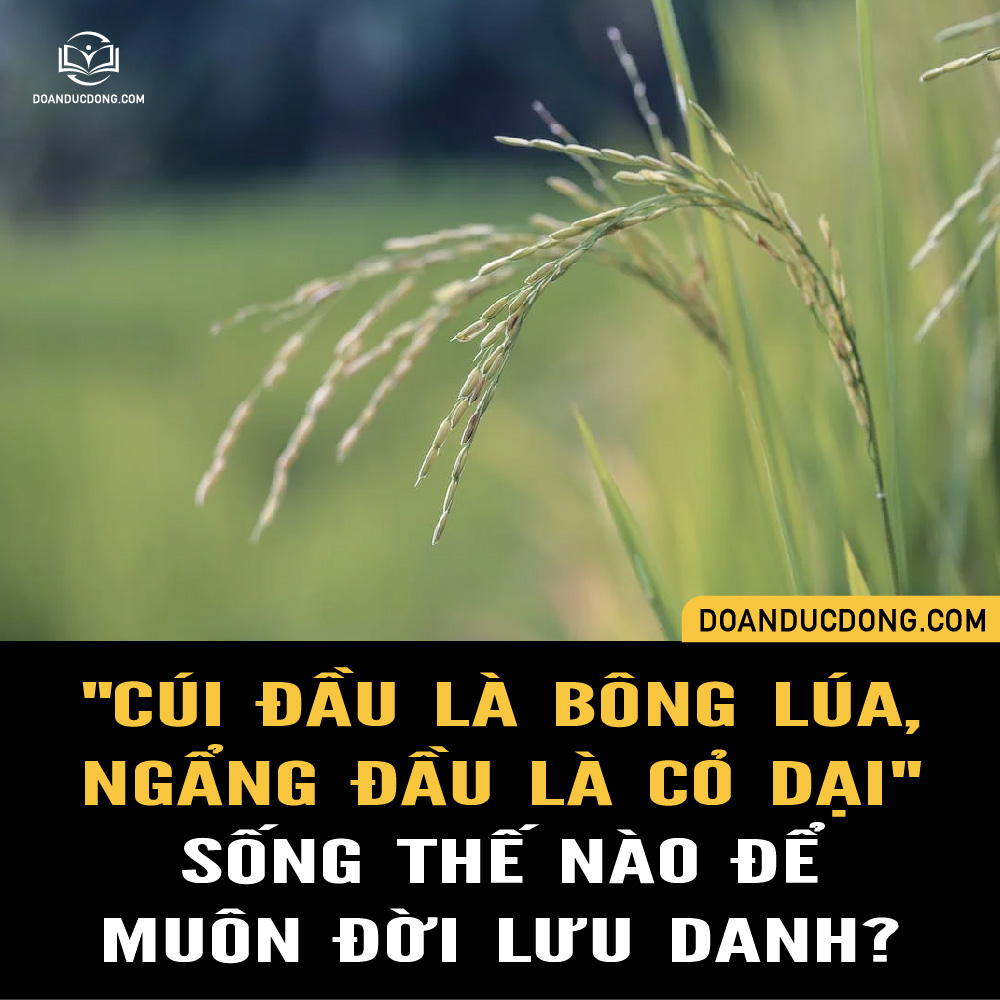 "CÚI ĐẦU LÀ BÔNG LÚA, NGẨNG ĐẦU LÀ CỎ DẠI". SỐNG THẾ NÀO ĐỂ MUÔN ĐỜI LƯU DANH?