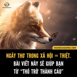 NGÂY THƠ TRONG XÃ HỘI = THIỆT. BÀI VIẾT NÀY SẼ GIÚP BẠN TỪ THỎ TRỞ THÀNH CÁO