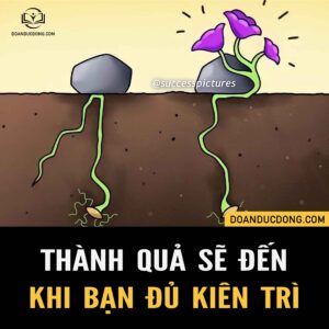THÀNH QUẢ SẼ ĐẾN KHI BẠN ĐỦ KIÊN TRÌ