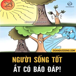 NGƯỜI SỐNG TỐT ẮT CÓ B.ÁO ĐÁP